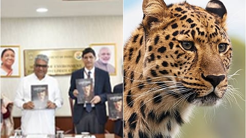 அமைச்சர் அறிக்கை வெளியீடு/ சிறுத்தை மாதிரி படம்