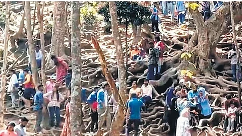 குணா குகையை பார்க்க முடியுமா?