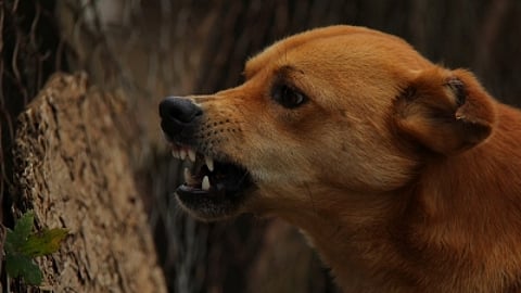 மாதிரி படம்