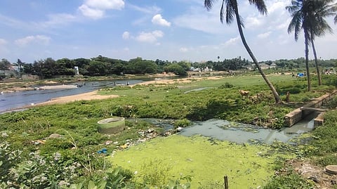 தாமிரவருணியில் கழிவுநீா் கலப்பு: ரூ.1.55 கோடி அபராதம் விதிக்க பரிந்துரை