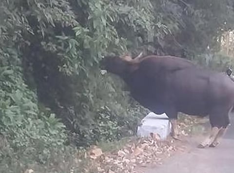 கோப்புப்படம்