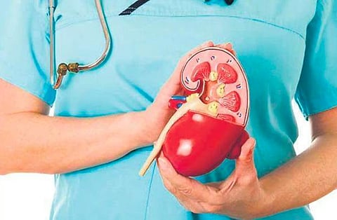 கோடையில் அதிகரிக்கும் சிறுநீா்ப் பாதை தொற்று! மருத்துவா்கள் எச்சரிக்கை