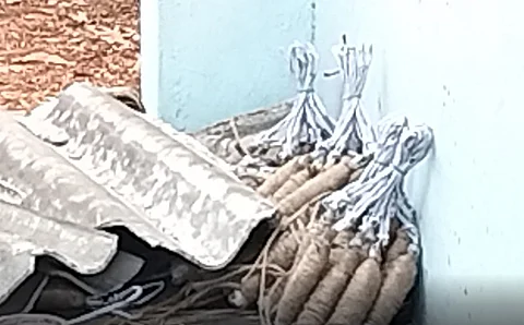 கெங்கவல்லி அருகே பட்டாசு ஆலையில் வெடி விபத்து: ஒருவர் பலி
