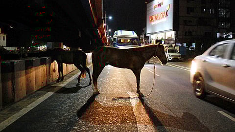 கோப்புப்படம்