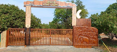 ஜூன் இரண்டாம் வாரத்தில் இம்மூன்று மரகதப் பூங்காக்கள் திறக்கப்பட்டு, பயன்பாட்டுக்கு வந்த பிறகு, மாவட்டத்தின் பல பகுதிகளில் இதேபோன்ற பூஞ்சோலைகளை உருவாக்குவதற்கு வனத்துறை திட்டமிட்டுள்ளது.