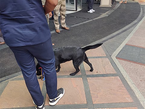 கோப்புப்படம்.