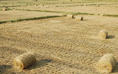 கோப்புப்படம்.