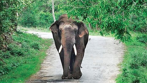 வழித்தடமும் வாழ்வாதாரமும்