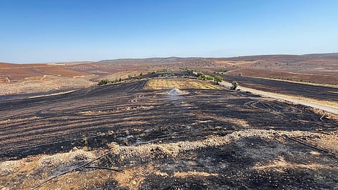 காட்டுத் தீயால் கருகிய பரப்பு