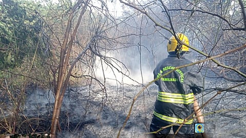 தீயை அணைக்கும் பணியில் ஈடுபட்ட தீயணைப்பு வீரா்.