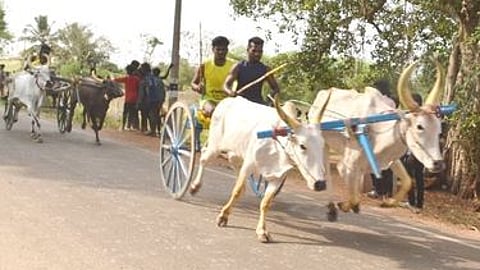 கோப்புப் படம்