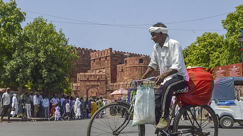 உழைப்பு...ஓய்வு...உறக்கம் !