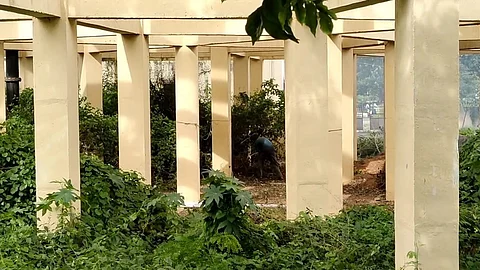 விளாங்குறிச்சி மருதம் நகர் பகுதியில் புதர் மண்டி கிடக்கும் குடிநீர் தொட்டி அமைந்திருக்கும் பகுதி.