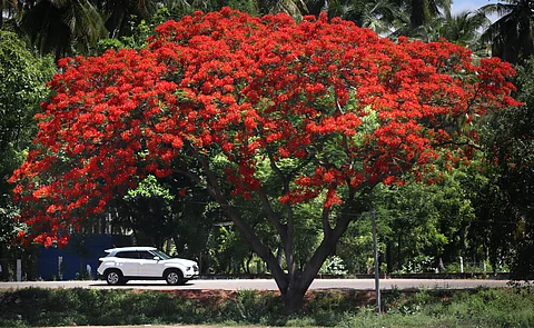 வசந்த காலம்