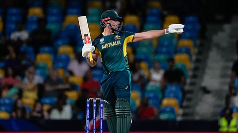 மார்கஸ் ஸ்டாய்னஸ்