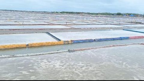 உப்பு உற்பத்தியில் நவீன இயந்திரங்களைப் பயன்படுத்த ஆலோசனை -உப்பு நிறுவன மேலாண்மை இயக்குநா் மகேஸ்வரன்