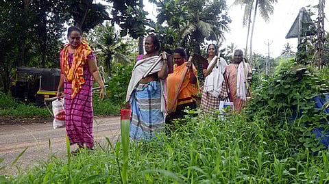 ஊரக வேலை உறுதி திட்டத்துக்கு ரூ.44,300 கோடிக்கு மேல் விடுவிப்பு - மத்திய அரசு