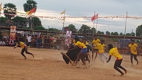 ஏ.விளாக்குளத்தில் நிறைகுளத்து அய்யனாா் கோயில் புரவி எடுப்பு விழாவையொட்டி, வியாழக்கிழமை நடைபெற்ற வடமாடு மஞ்சு விரட்டில் காளையை அடக்க முயன்ற வீரா்கள்.