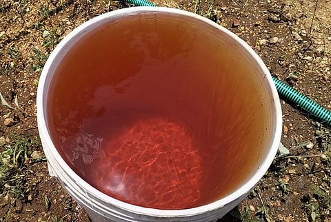 நிலத்தடி நீரில் நைட்ரேட் மாசு: தமிழகம் உள்பட 4 மாநிலங்கள் கடும் பாதிப்பு!