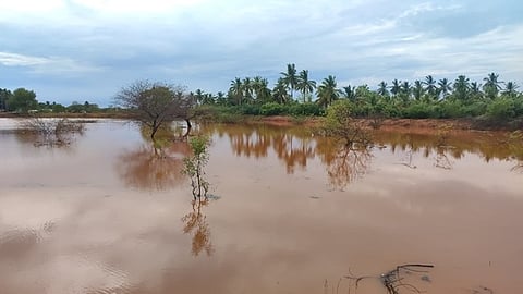 கோடை மழைநீரை பயன்படுத்த
இயலாமல் தவிக்கும் கரூா் விவசாயிகள்