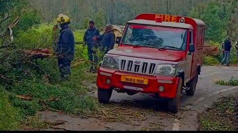 தொட்டபெட்டா காட்சி முனைக்கு செல்லும் சாலையில் விழுந்த மரங்களை அகற்றும் பணியில் ஈடுபட்ட தீயணைப்புத் துறையினா்.