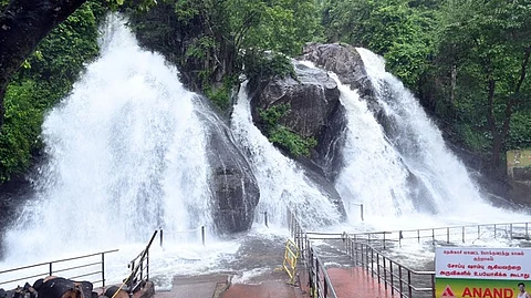 ஐந்தருவியில் ஐந்துகிளைகளிலும் ஆா்ப்பரித்து கொட்டும் தண்ணீா்
