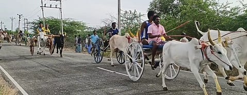 கிழவிபட்டியில் வெள்ளிக்கிழமை நடைபெற்ற மாட்டு வண்டி எல்கைப் பந்தயம் போட்டி