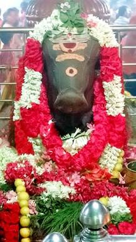 சிவன் கோயில்களில்
பிரதோஷ வழிபாடு