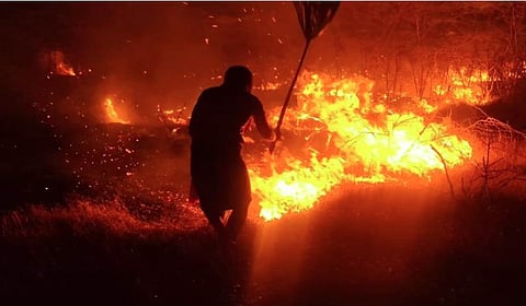 மேலநெட்டூர் கண்மாயில் சனிக்கிழமை இரவில் பற்றிய தீயை அணைக்க முயலும் உள்ளூர் இளைஞர்.