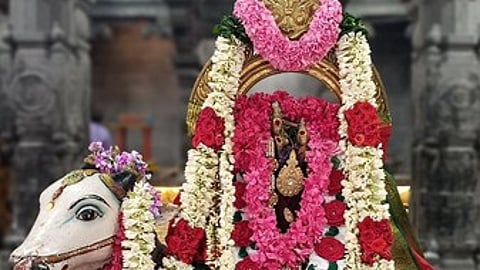 சிறப்பு அலங்காரத்தில் பிரதோஷ நாயகா்...