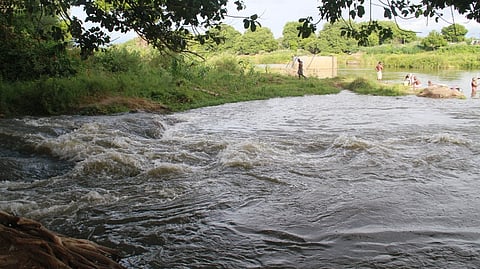கருப்பந்துறை பகுதியில் தாமிரவருணி நதியில் கலந்த கழிவுநீா்.