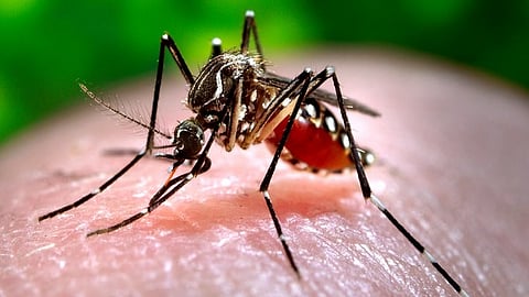 கோப்புப் படம்