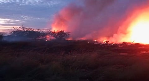 சிவகங்கை மாவட்டம், இளையான்குடி அருகே வெள்ளிக்கிழமை பெரிய கண்மாயில் நள்ளிரவில் ஏற்பட்ட தீயில் கொளுந்து விட்டு எரியும் மரங்கள்.