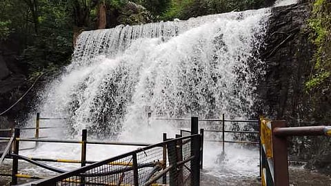 சுருளி அருவியில் புதன்கிழமை ஏற்பட்ட வெள்ளப்பெருக்கு.