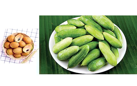 சப்போட்டா - கோவைக்காய்