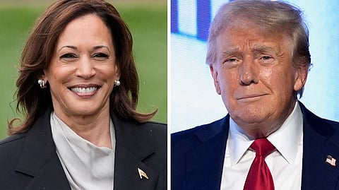 kamala harris donald trump
