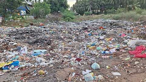 குளத்தின் சுவடு தெரியாமல் உள்ள பெட்டைக்குளம்.