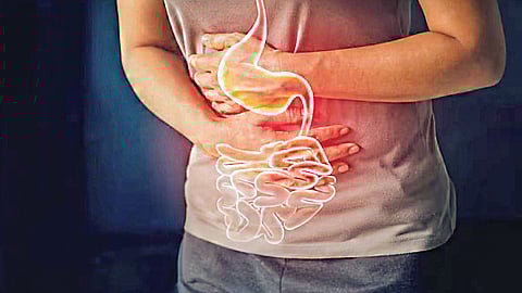 சித்தரிக்கப்பட்டது