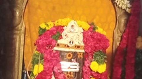 ஆடி அமாவாசையையொட்டி, மானாமதுரை அருகேயுள்ள அன்னவாசலில் ஞாயிற்றுக்கிழமை மலா் அலங்காரத்தில் அருள்பாலித்த ராமநாதசுவாமி.