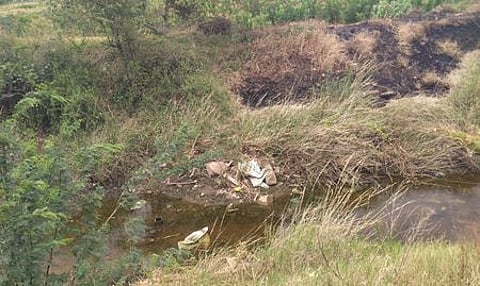 ஆகாயத்தாமரை, நாணல்கள், செடிகள் நிறைந்து காணப்படும் கொடியாலம் வாய்க்கால்.