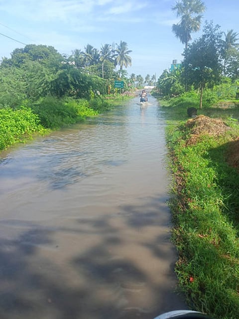 சேவூா்-அடையபலம் சாலையில் தேங்கியுள்ள மழைநீா்.