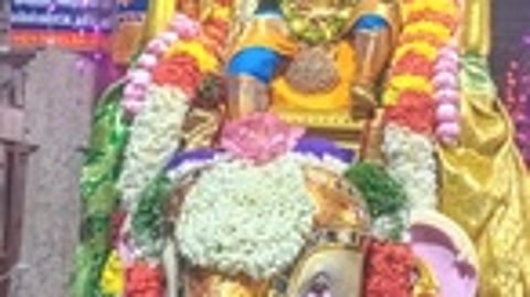 மானாமதுரையில் நடைபெற்று வரும் ஆடி தவசு திருவிழாவில் சனிக்கிழமை இரவு யானை வாகனத்தில் எழுந்தருளி பவனி வந்த ஆனந்தவல்லி அம்மன்.