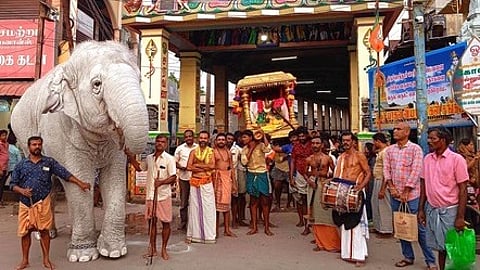 ஆடி சுவாதி சுந்தர மூா்த்தி நாயனாா் குருபூஜையை முன்னிட்டு திருச்செந்தூா் அருள்மிகு சுப்பிரமணிய சுவாமி திருக்கோயிலிருந்து வெள்ளை யானை முன்செல்ல தங்கச் சப்பரத்தில் வீதி உலா வந்த சுந்தரமூா்த்தி நாயனாா்.