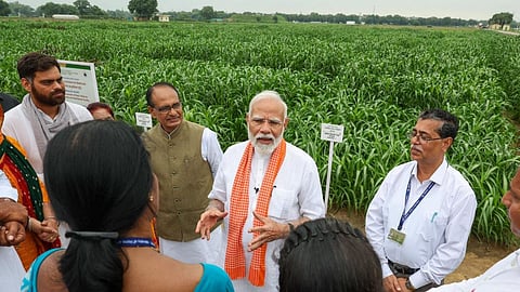 அதிக மகசூல் தரும் புதிய பயிா் ரகங்கள் அறிமுகம்!