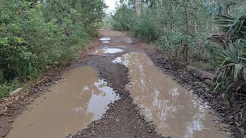 குண்டும் குழியுமாக உள்ள புதுக்கோட்டை மாவட்டம் திருமணஞ்சேரி சாலை.