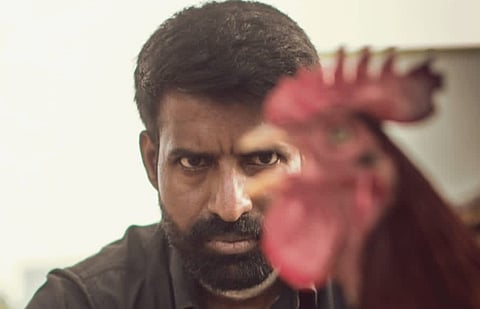 கொட்டுக்காளி டிரைலர் எப்போது?