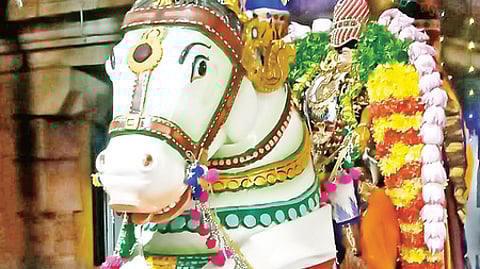 மானாமதுரையில் ஆடித்தவசு