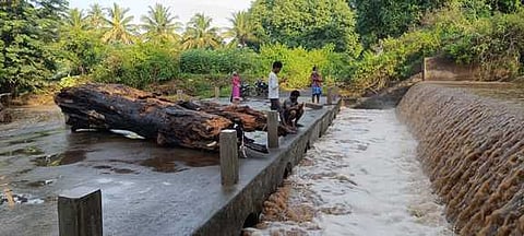 ஓமலூா் அருகே கிழக்கு சரபங்கா ஆற்றில் ஏற்பட்ட வெள்ளத்தில் அடித்து வரப்பட்ட மரம்.