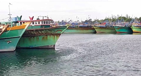 துறைமுகத்தில் நிறுத்தப்பட்டுள்ள விசைப்படகுகள்.