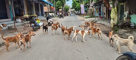 கோப்புப்படம்